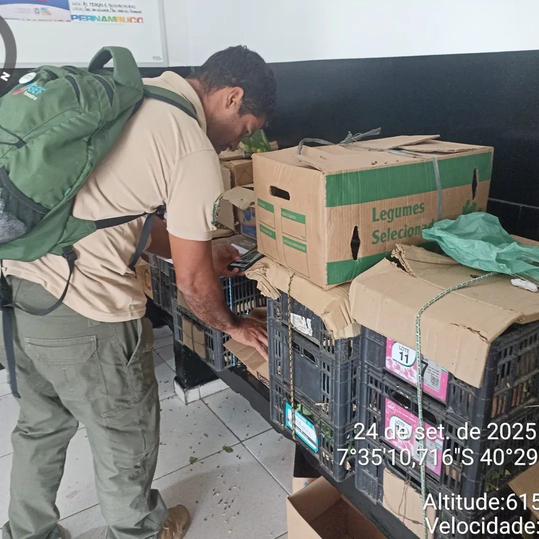 Patrulha Ambiental Resgata 216 Aves Silvestres em Operação Policial em Araripina