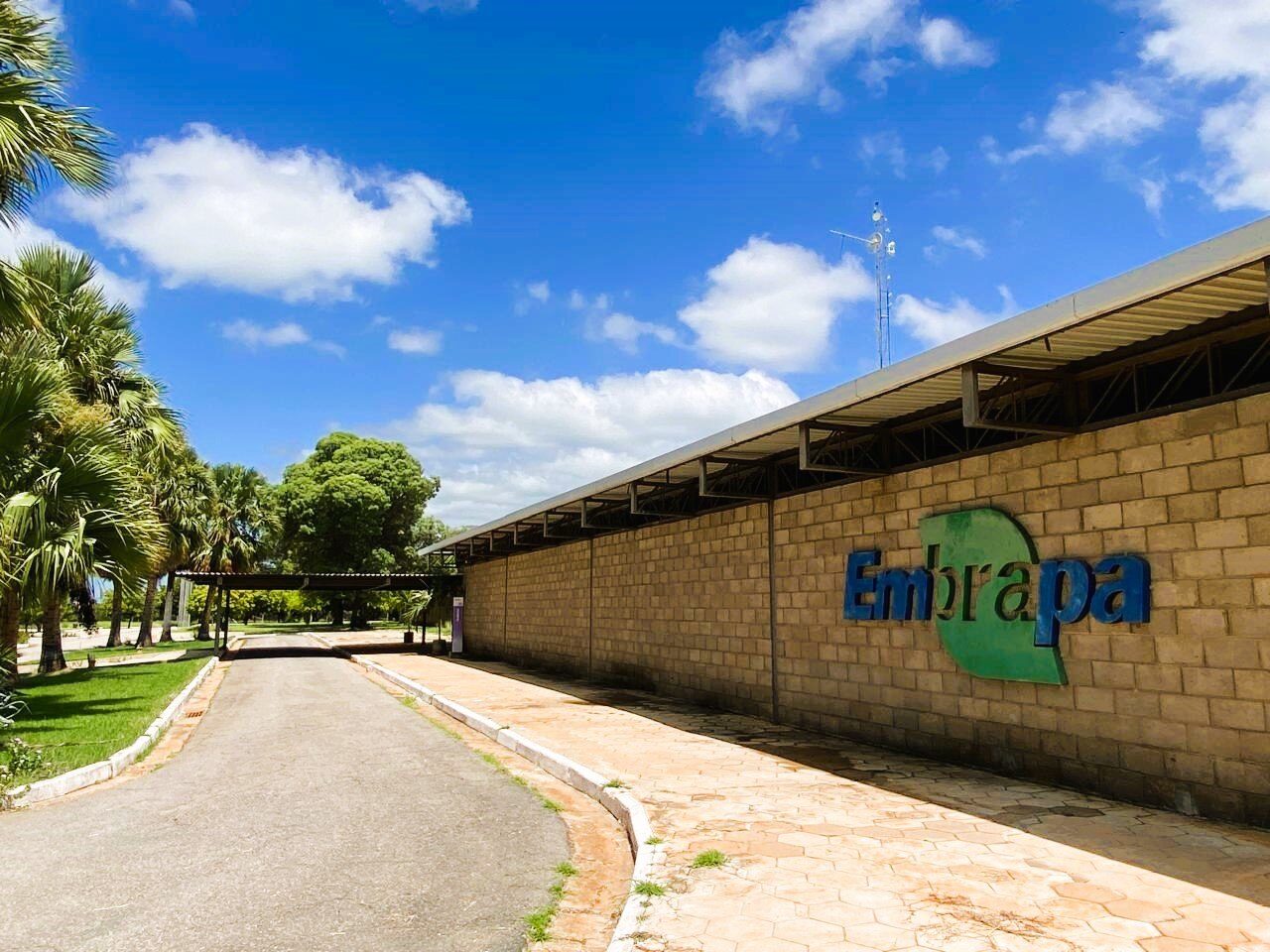 Sugestão de Pauta: Audiência pública marca etapa do processo de seleção para Chefe-geral da Embrapa Semiárido